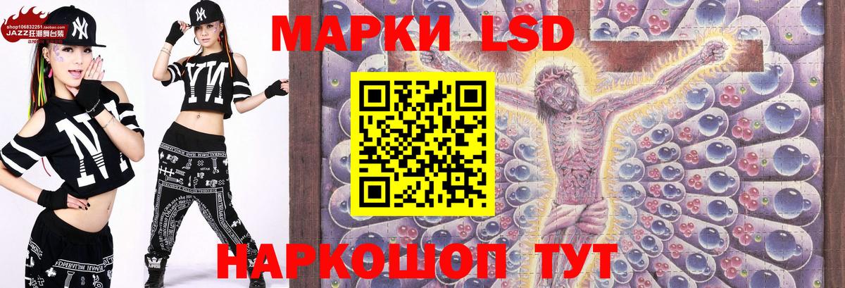 Лсд 25 Дзержинск