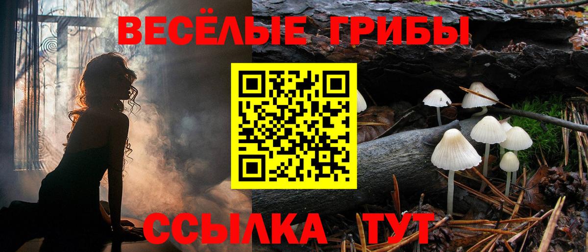 Дзержинск  Псилоцибиновые грибы Psilocybine cubensis  Галлюциногенные грибы Cubensis  что такое   Вход с VPN 